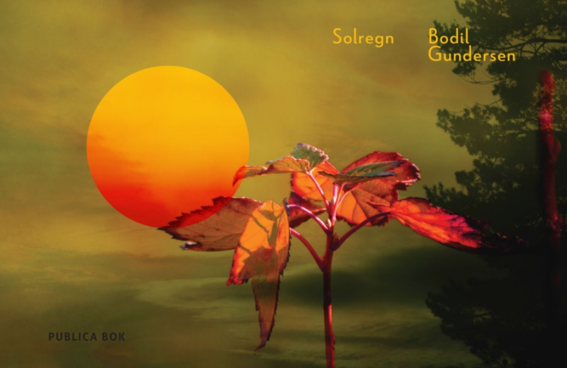 Solregn av Bodil Gundersen
