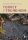 Trondheim Torv – en studie